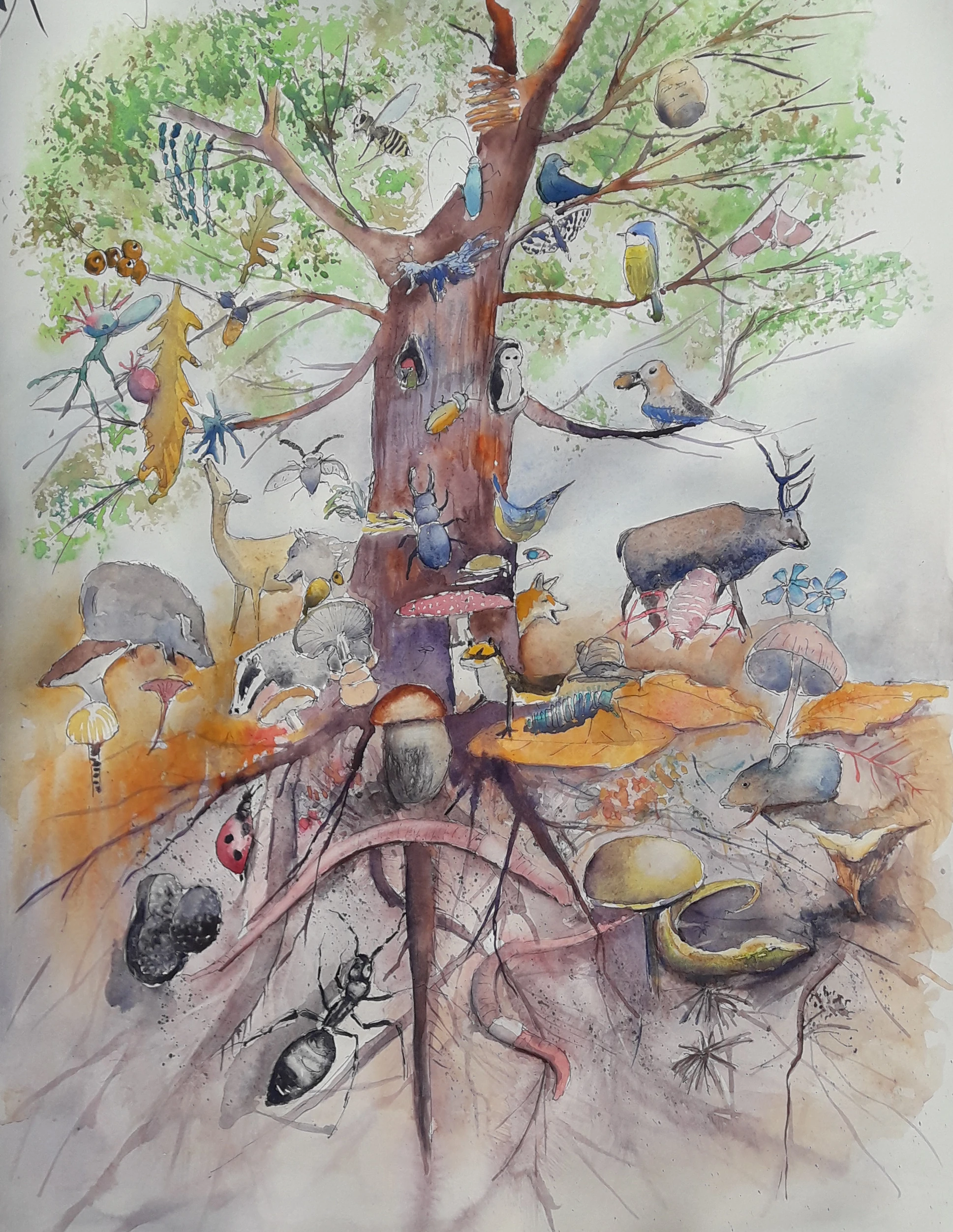 arbre monde*jlr*2026